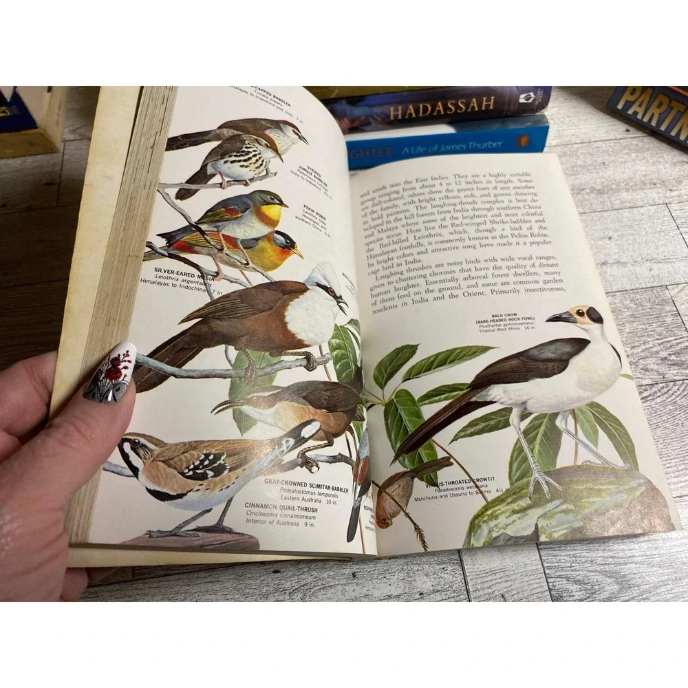 Song‎ Birds of the World Oliver L. Austin Jr. 1967 Illustrated Vintage Paperback